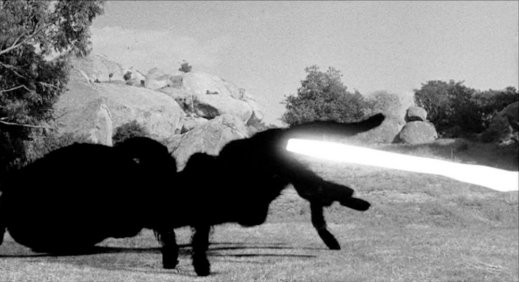 Pretty much my worst nightmare.