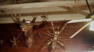 Santa Moose and his eight camel spiders come for the naughty children.