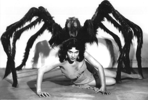 Spider and spider woman