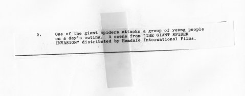 The Giant Spider Invasion - Field Promotional Still (back)