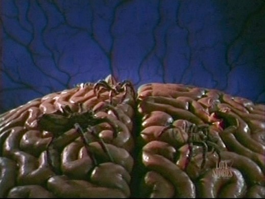 This is what happens when you don't brush the cobwebs out of your hair.