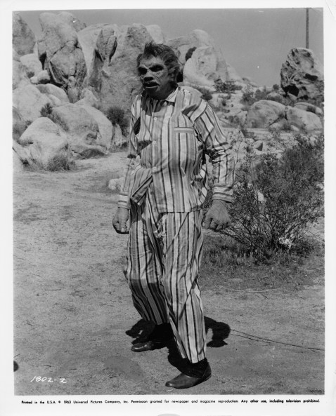 Tarantula - Promotional Image