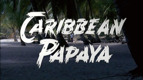 "Caribbean Papaya" is the best translation of the title, but "Die of Pleasure" would be my favorite version if not for the salacious "Papaya: Love Goddess of the Cannibals".