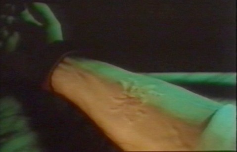 You will know the cultists by their spider-shaped scars.