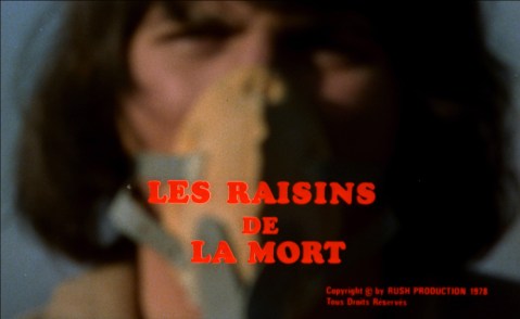 Administering the experimental pesticide.