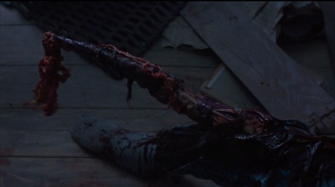 The huge tick rips out of Panic's body.