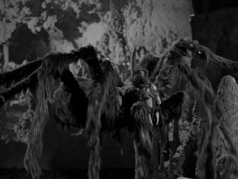 Theres a lot going on in this spider, and not a bit of it is scary.