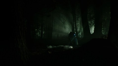 An unconnected killer awakens the forest spirit by burying his victims in its ground.