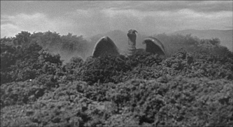 Special guest star Rodan.